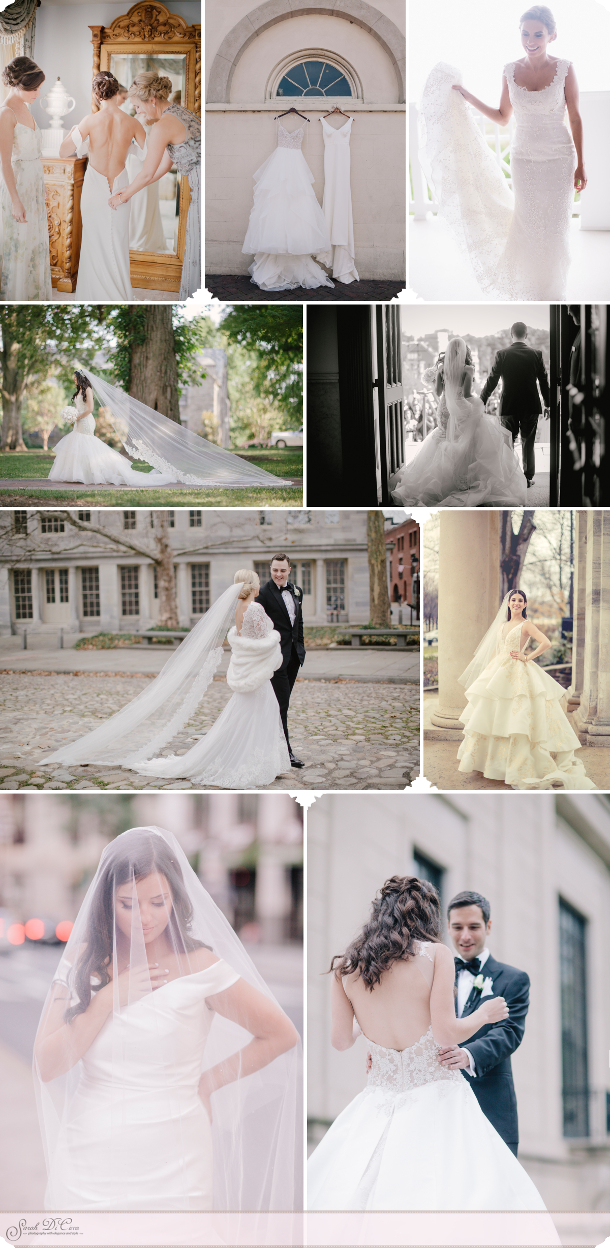 Dresses and Veils Sarah DiCicco Photography - Year in Review 2018