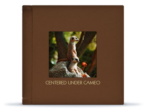 Centered Under Cameo