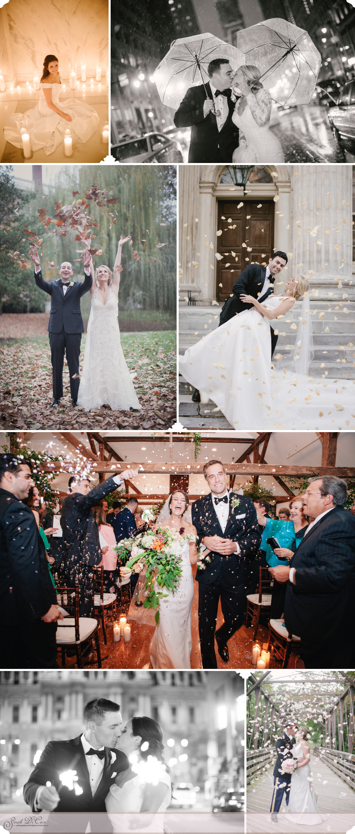 Petals and Sparkles Sarah DiCicco Photography - Year in Review 2018