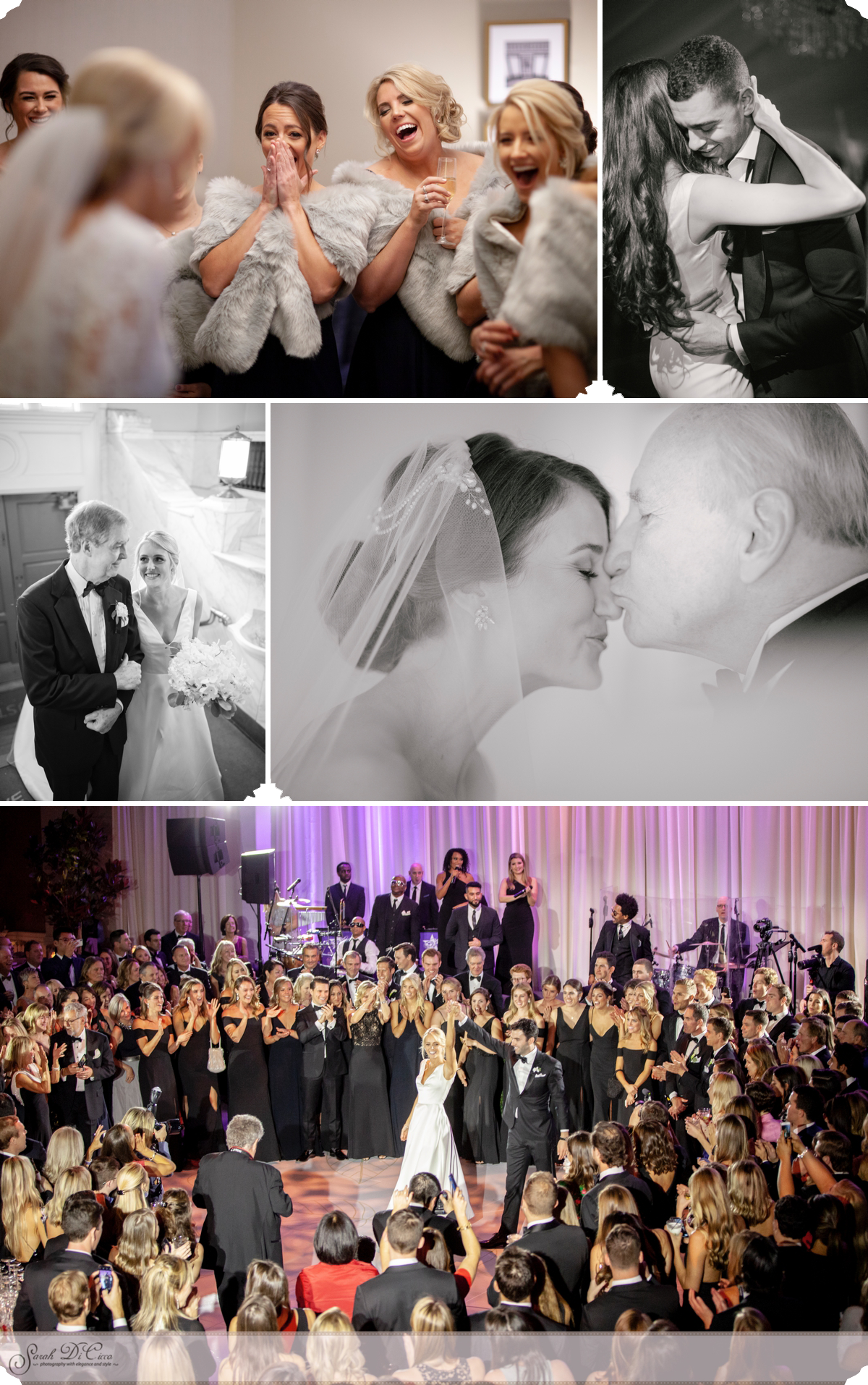Wonderful Moments Sarah DiCicco Photography - Year in Review 2018