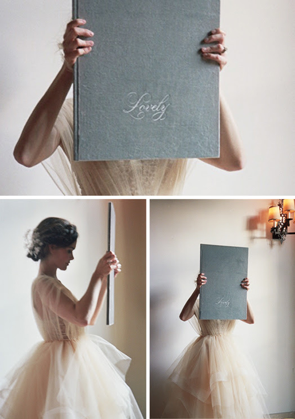 The Very Velvet Book